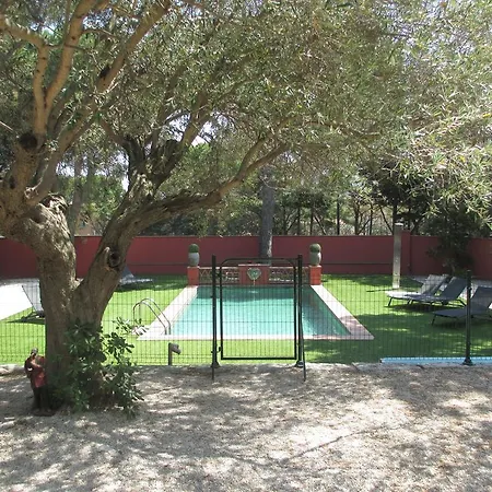 Cote D'asoet Sainte-Maxime