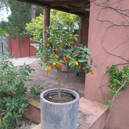 Cote D'asoet Lägenhetshotell Sainte-Maxime